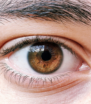 Nahaufnahme von einem braunen Auge